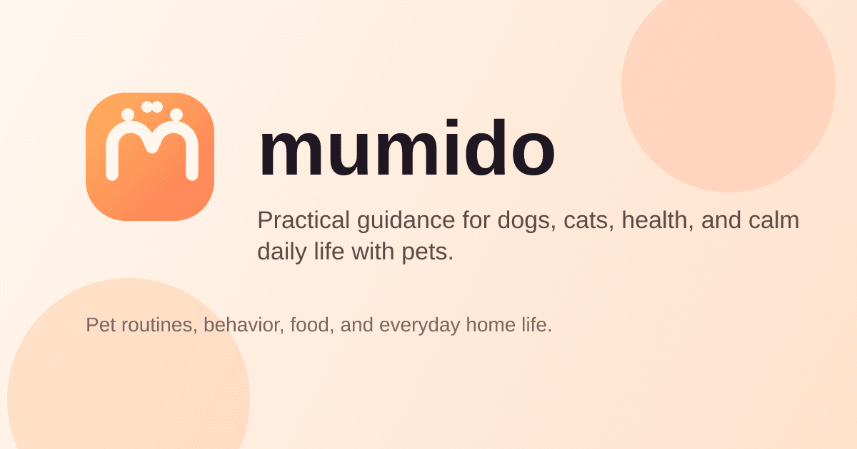 Weeknight cooking setup